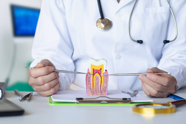 Best Knocked-Out Tooth Emergency  in Broussard, LA